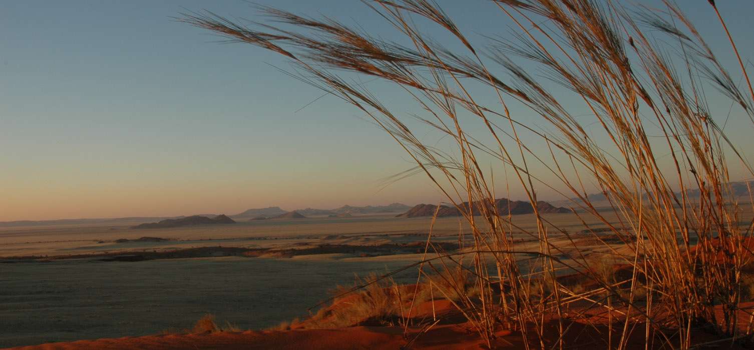 le désert du Namib