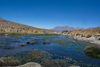 paysage de l'altiplano