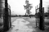 la porte d'entrée du camp des femmes à Birkenau