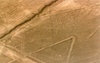 les lignes de Nazca