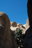 dans le canyon de Petra