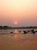 coucher de soleil avec les hippos de la luangwa
