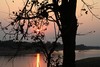 coucher de soleil sur la rivière Luangwa, avec un petit singe dans l'arbre