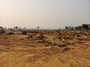 paysage du Lower Zambezi