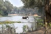 un éléphant traverse un affluent du Zambèze