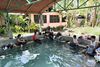 lavoir avec poissons intégrés